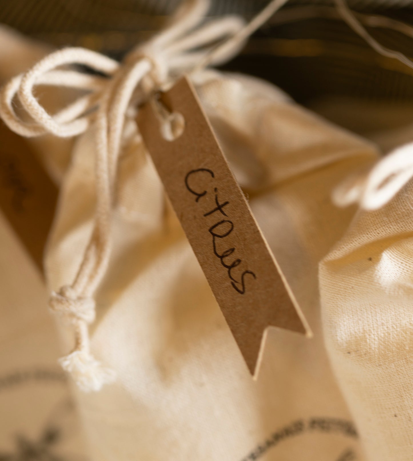 CITRUS Cera aromática  - Bergamota e Lima.