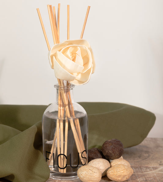 Difusor de Varas Ficus