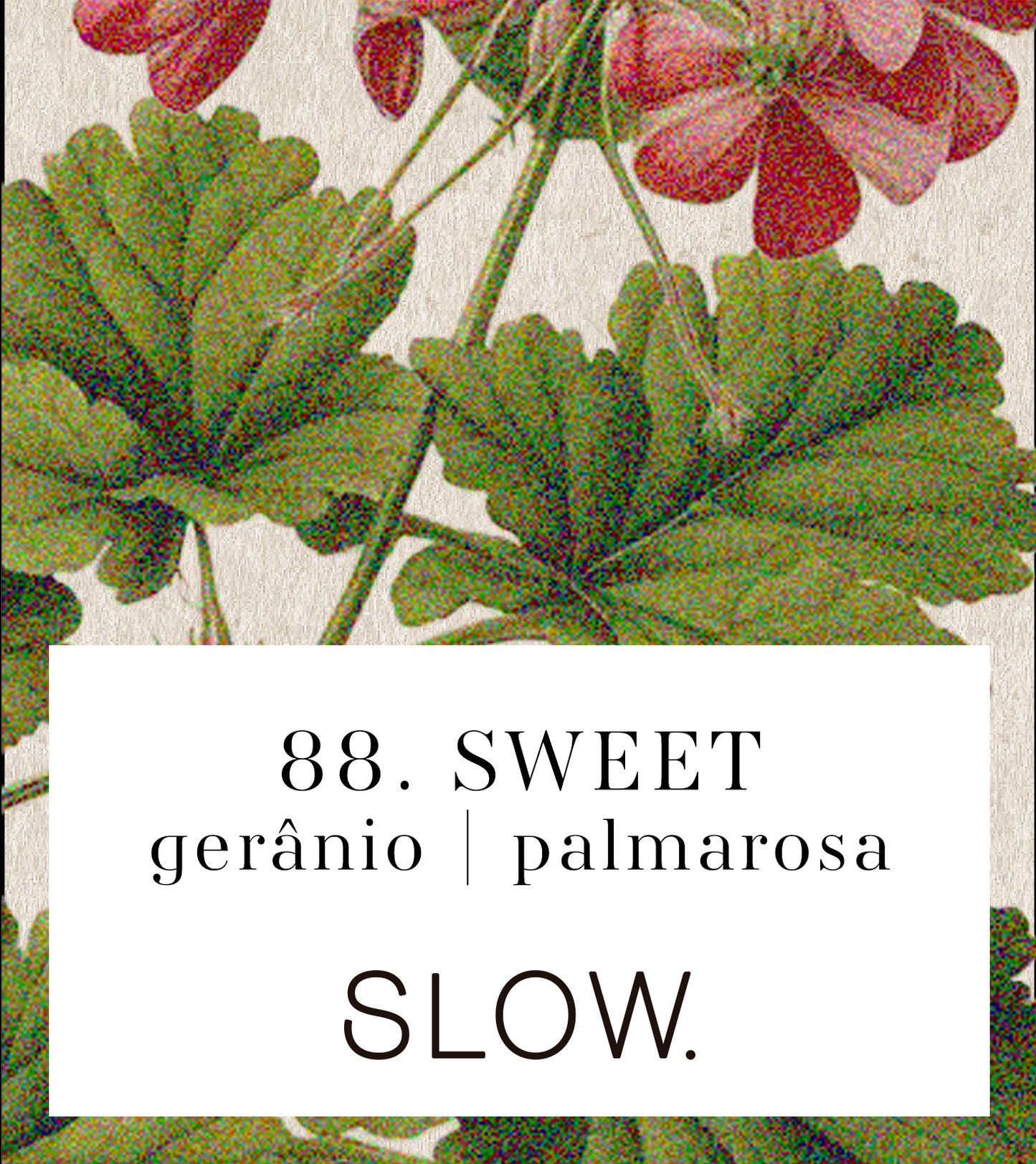 Vela Sweet - Gerânio e Palmarosa