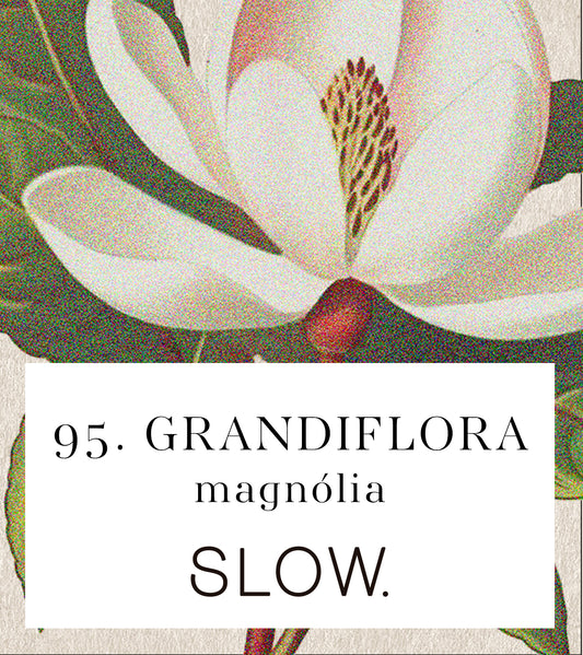Grandiflora Candle - Magnolia