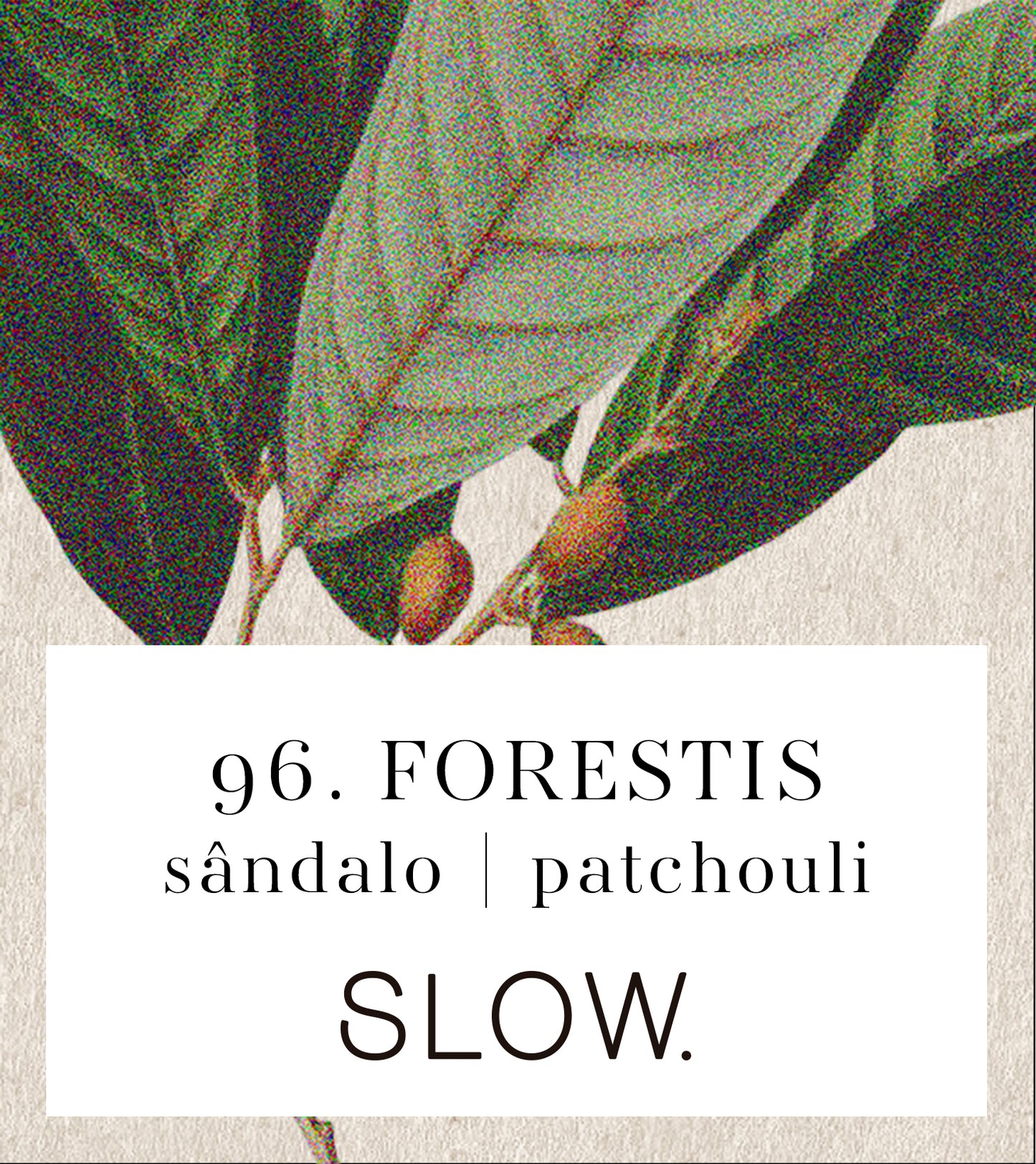 Vela Jar Forestis - Patchouli e Sândalo