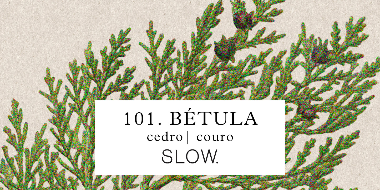Vela Status Betula - Couro e Cedro